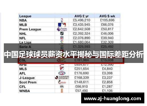 中国足球球员薪资水平揭秘与国际差距分析